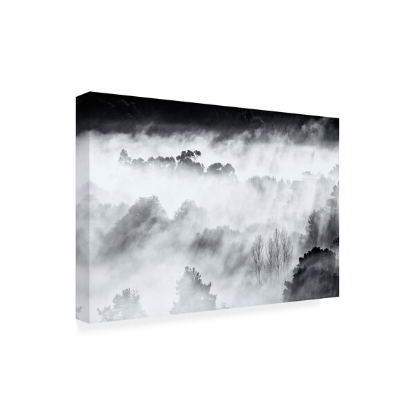 Antonio Carrillo Lopez 'Dark Misty Mountains' Canvas Art,30x47